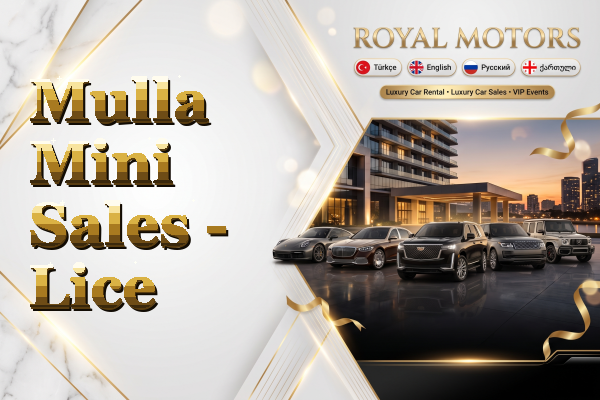 Mulla Mini Sales - Lice