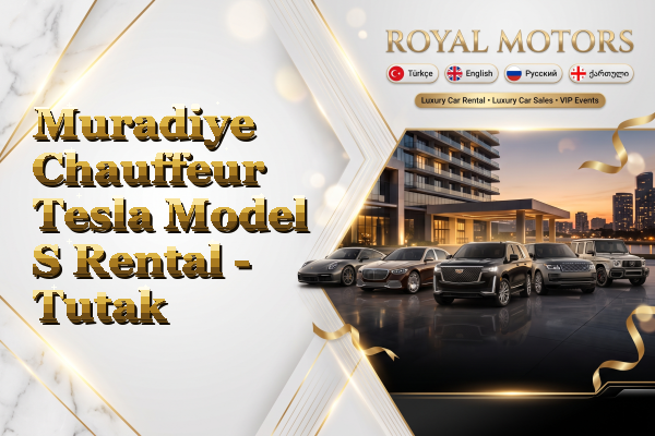 Muradiye Chauffeur Tesla Model S Rental - Tutak