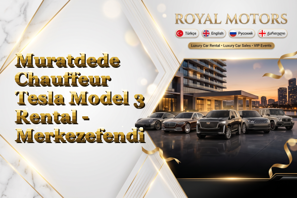 Muratdede Chauffeur Tesla Model 3 Rental - Merkezefendi