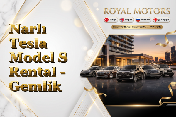 Narlı Tesla Model S Rental - Gemlik