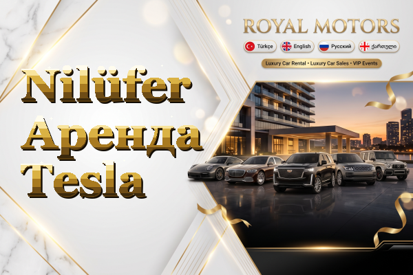 Nilüfer Аренда Tesla