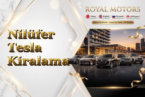 Nilüfer Tesla Kiralama