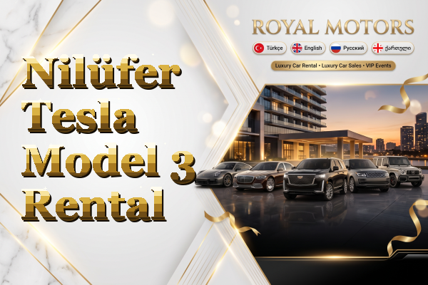Nilüfer Tesla Model 3 Rental