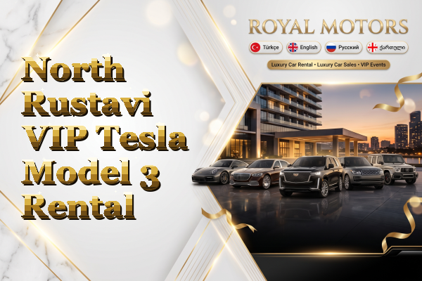 North Rustavi VIP Tesla Model 3 Rental