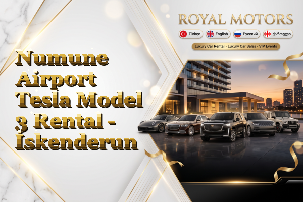 Numune Airport Tesla Model 3 Rental - İskenderun