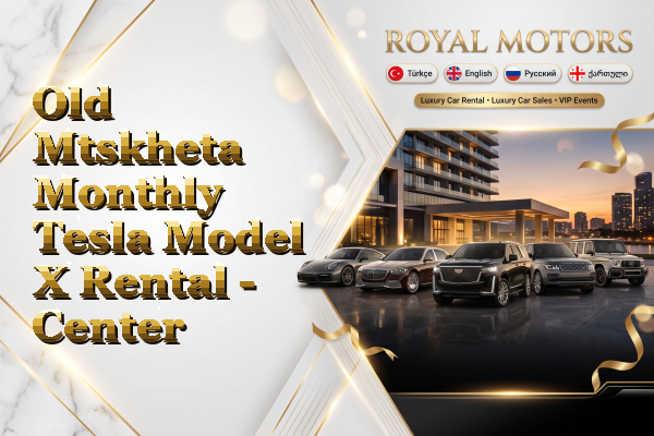 Old Mtskheta Monthly Tesla Model X Rental - Center