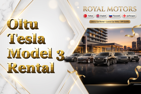 Oltu Tesla Model 3 Rental