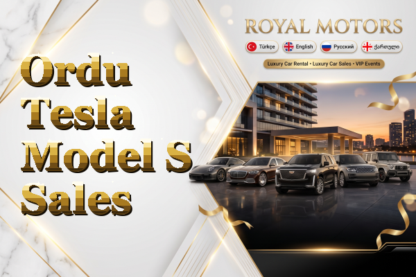 Ordu Tesla Model S Sales