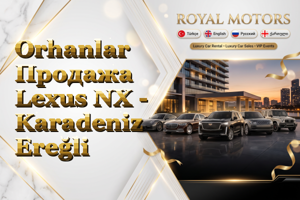 Orhanlar Продажа Lexus NX - Karadeniz Ereğli
