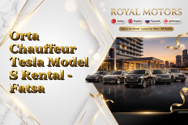 Orta Chauffeur Tesla Model S Rental - Fatsa