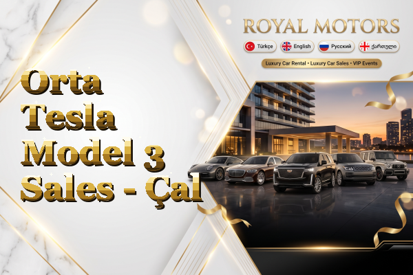 Orta Tesla Model 3 Sales - Çal
