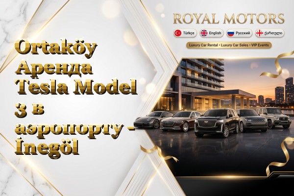 Ortaköy Аренда Tesla Model 3 в аэропорту - İnegöl