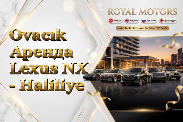 Ovacık Аренда Lexus NX - Haliliye