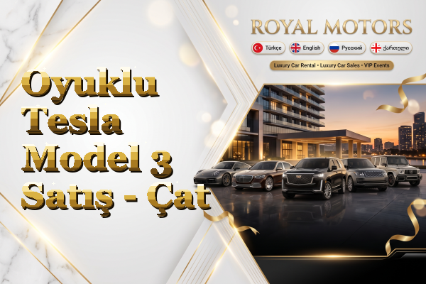 Oyuklu Tesla Model 3 Satış - Çat