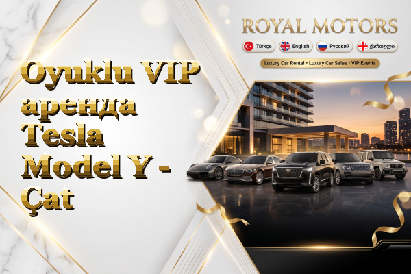 Oyuklu VIP аренда Tesla Model Y - Çat