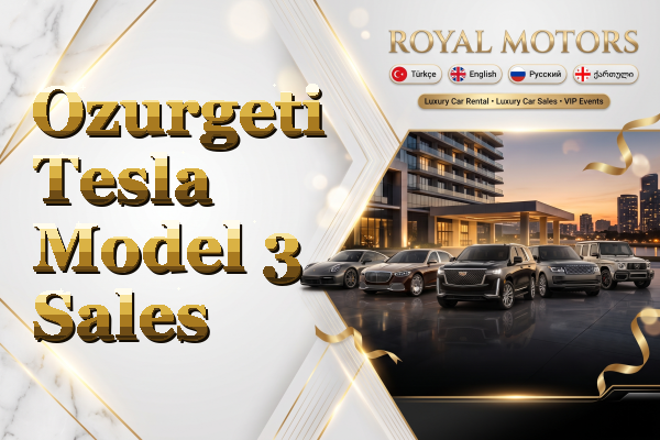 Ozurgeti Tesla Model 3 Sales