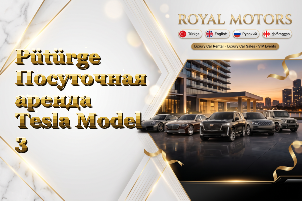 Pütürge Посуточная аренда Tesla Model 3