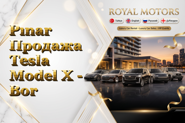 Pınar Продажа Tesla Model X - Bor