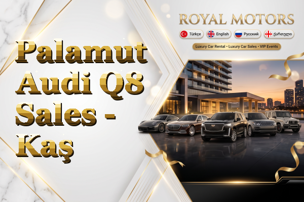 Palamut Audi Q8 Sales - Kaş