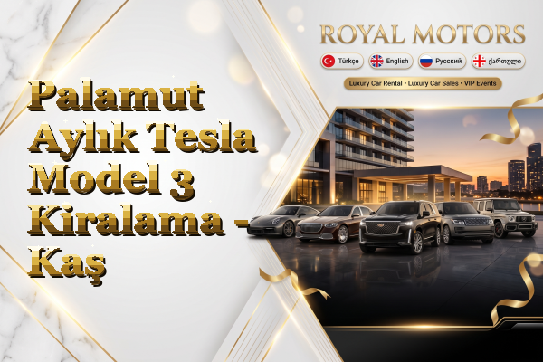 Palamut Aylık Tesla Model 3 Kiralama - Kaş
