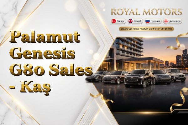 Palamut Genesis G80 Sales - Kaş