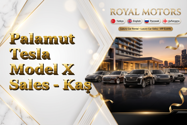 Palamut Tesla Model X Sales - Kaş