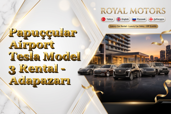 Papuççular Airport Tesla Model 3 Rental - Adapazarı