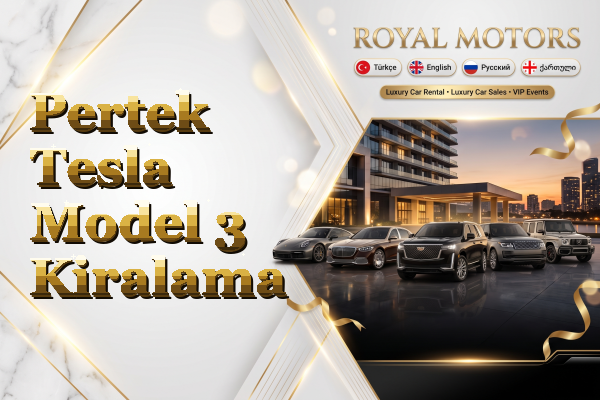 Pertek Tesla Model 3 Kiralama