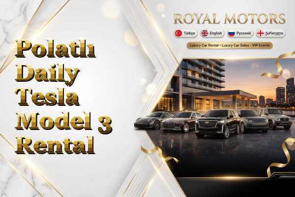Polatlı Daily Tesla Model 3 Rental