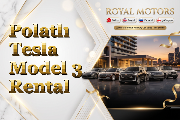 Polatlı Tesla Model 3 Rental