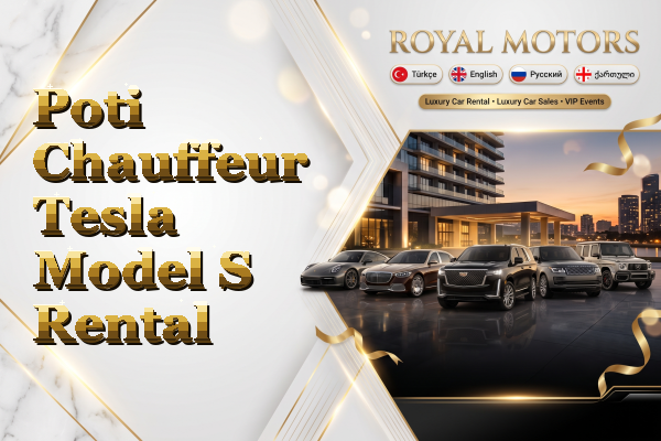 Poti Chauffeur Tesla Model S Rental