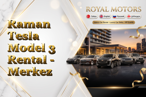Raman Tesla Model 3 Rental - Merkez