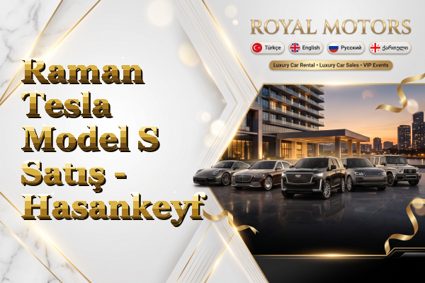 Raman Tesla Model S Satış - Hasankeyf