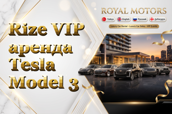 Rize VIP аренда Tesla Model 3