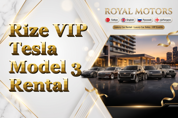 Rize VIP Tesla Model 3 Rental