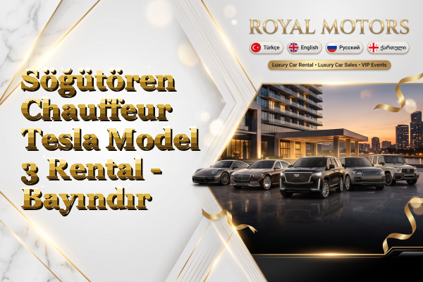 Söğütören Chauffeur Tesla Model 3 Rental - Bayındır