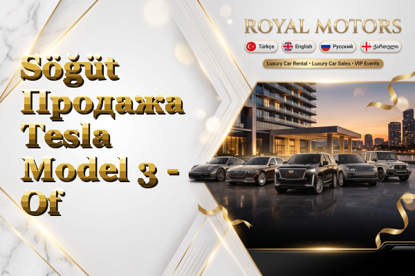 Söğüt Продажа Tesla Model 3 - Of