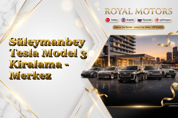 Süleymanbey Tesla Model 3 Kiralama - Merkez