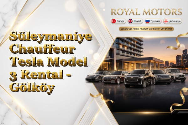 Süleymaniye Chauffeur Tesla Model 3 Rental - Gölköy
