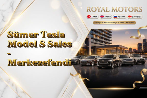 Sümer Tesla Model S Sales - Merkezefendi