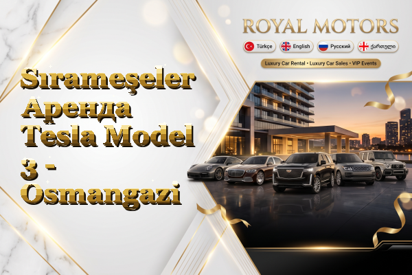 Sırameşeler Аренда Tesla Model 3 - Osmangazi