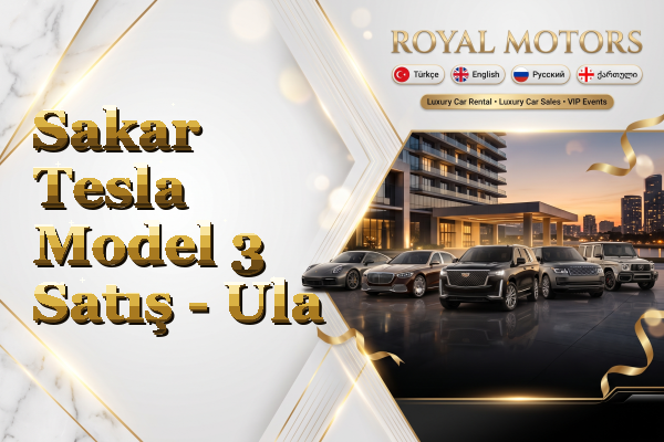 Sakar Tesla Model 3 Satış - Ula