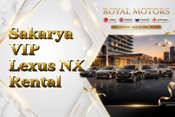 Sakarya VIP Lexus NX Rental