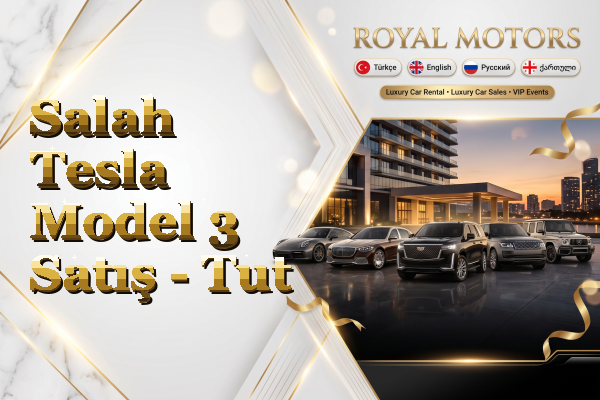 Salah Tesla Model 3 Satış - Tut