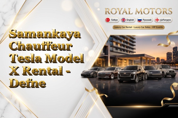 Samankaya Chauffeur Tesla Model X Rental - Defne