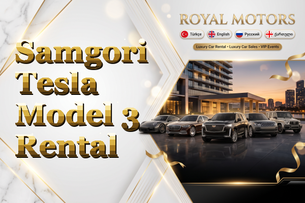 Samgori Tesla Model 3 Rental
