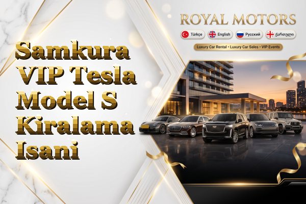 Samkura VIP Tesla Model S Kiralama - Isani