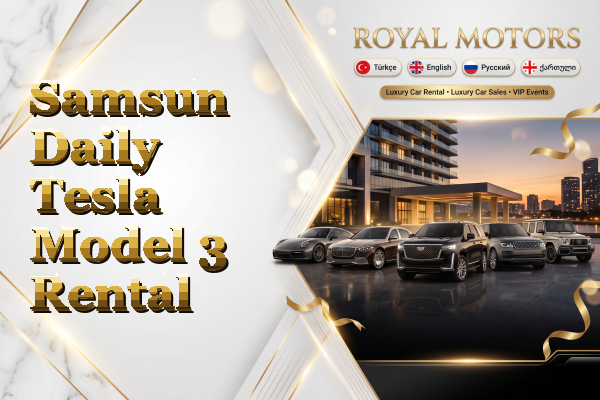 Samsun Daily Tesla Model 3 Rental