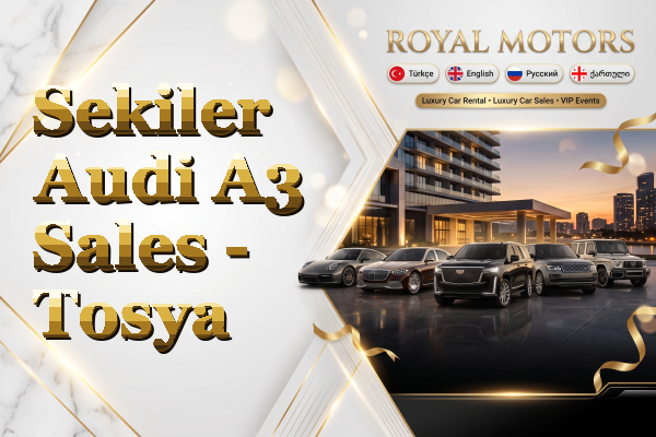 Sekiler Audi A3 Sales - Tosya