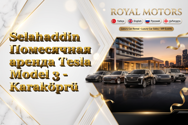 Selahaddin Помесячная аренда Tesla Model 3 - Karaköprü